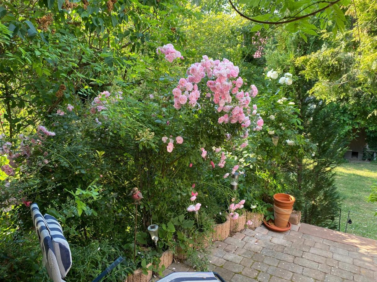 Ferienwohnung Mit Schoener Terrasse. Ellerstadt Esterno foto