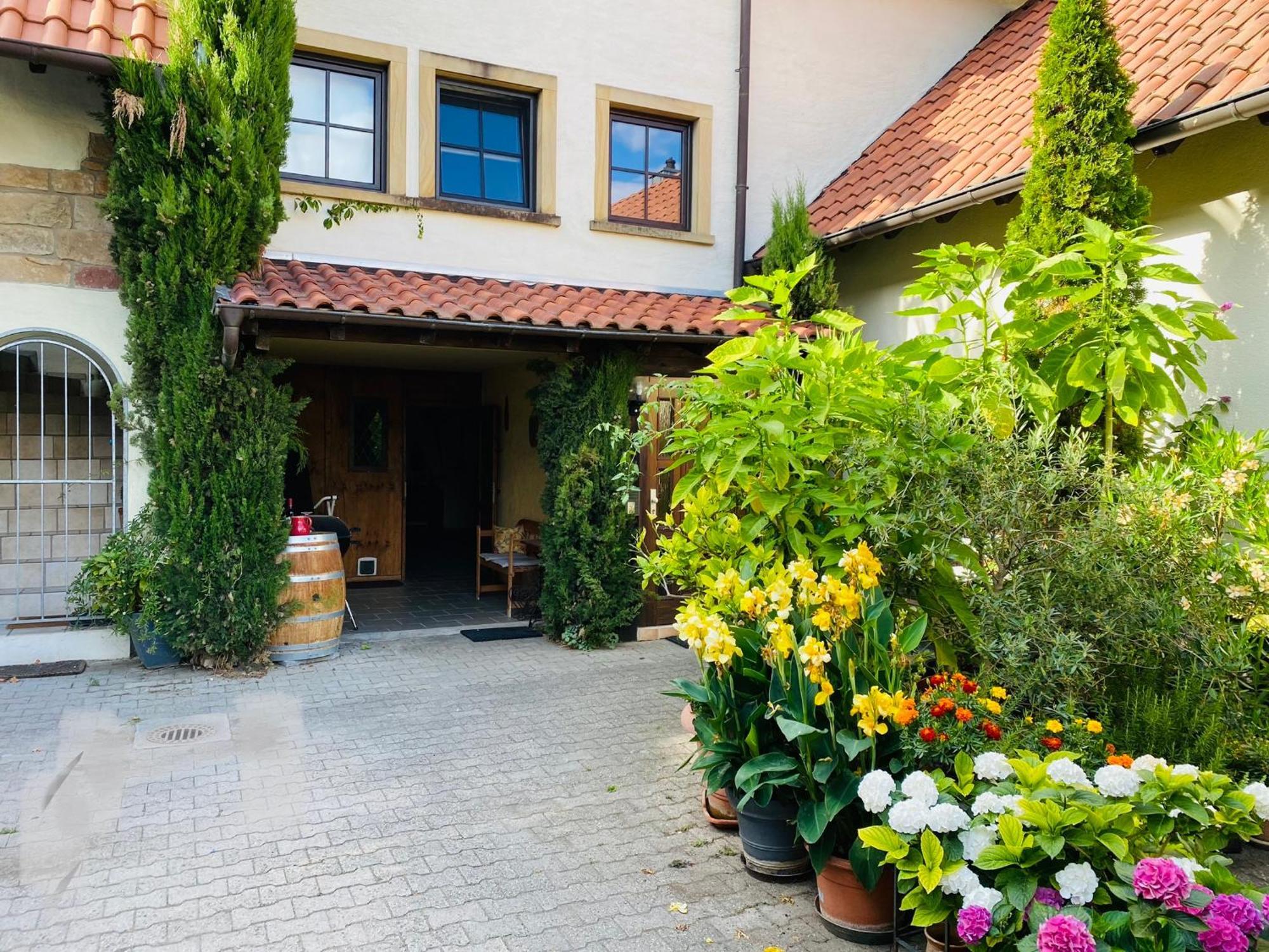 Ferienwohnung Mit Schoener Terrasse. Ellerstadt Esterno foto